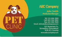 Pet Care, veterenarian, lizard, iguana, 